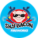 Sky Lantern Santa - Sky Bacon